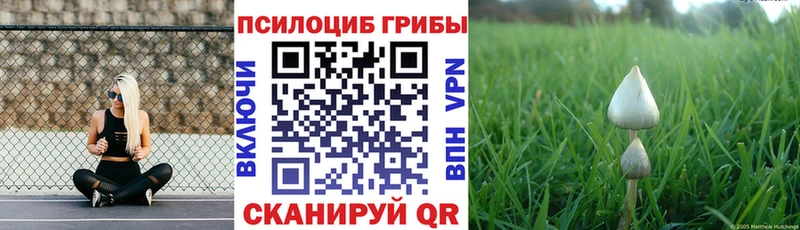 Галлюциногенные грибы GOLDEN TEACHER  сколько стоит  Канск 